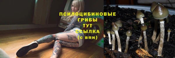 марихуана Володарск
