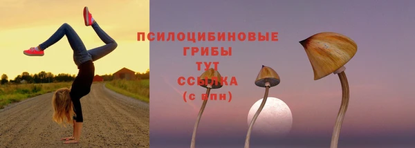 марихуана Володарск