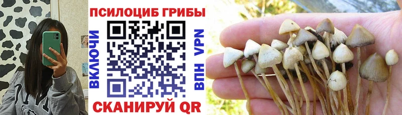 Галлюциногенные грибы MAGIC MUSHROOMS  Красково 